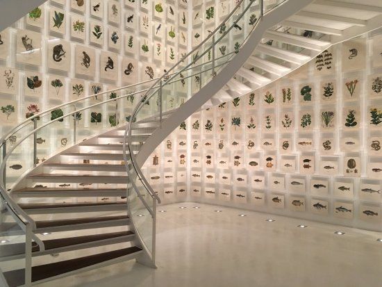 Itau Cultural Institute